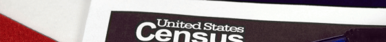 Image of American Flag with the words "United States Census 2020" on top of it.