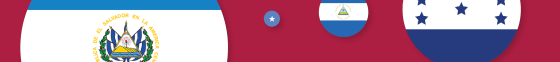 collection of elements of various countries flags.