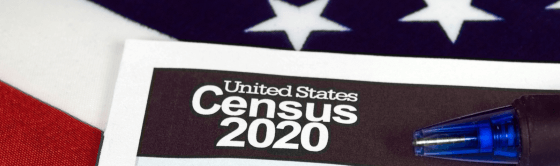 Image of American Flag with the words "United States Census 2020" on top of it.