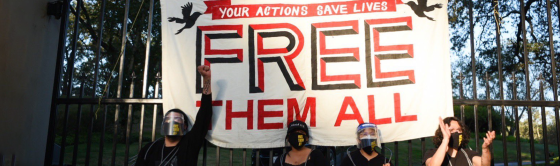 Protesters in front of a banner that says "Your actions save lives, free them all"