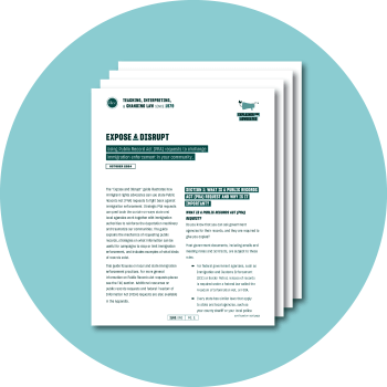 An stylized image of the document on a teal background.