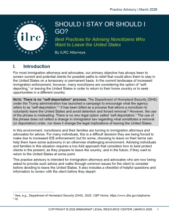 Best Practices for Advising Noncitizens